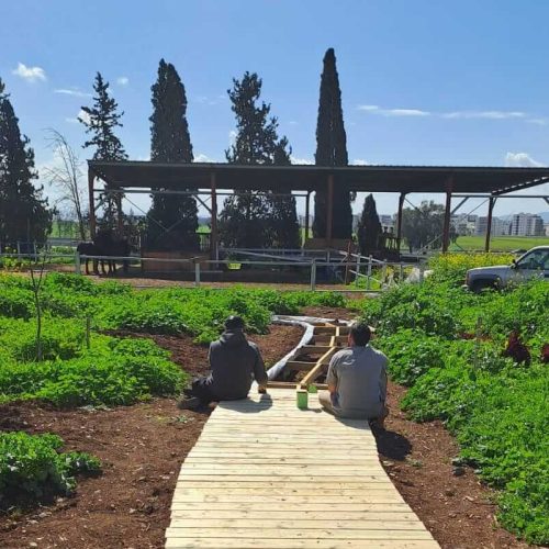 שני מטופלים בונים שביל מעץ בחווה הטיפולתי