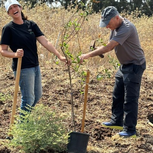 גבר ואישה עובדים בבוסתן חוות מתניה